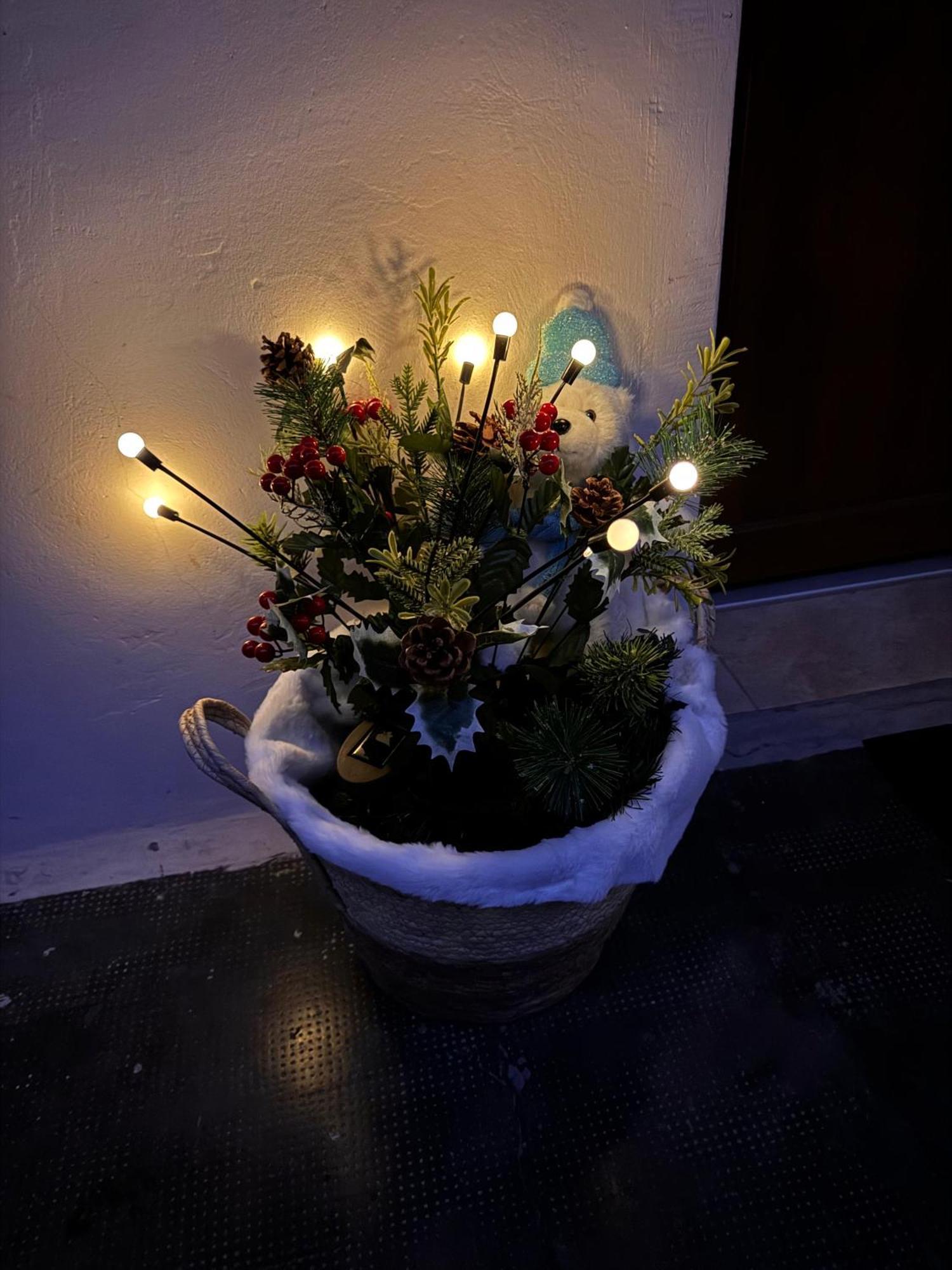 ブラショフMadalina'S Houseアパートメント エクステリア 写真